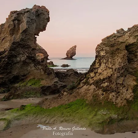 La Huerta, Megustarural *