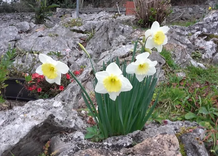 La Huerta, Megustarural